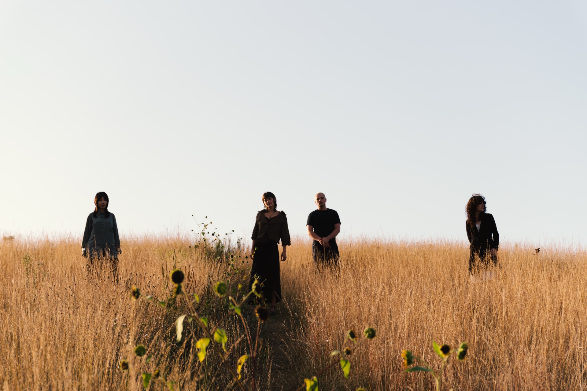 The four members of the band in a field of tall grass